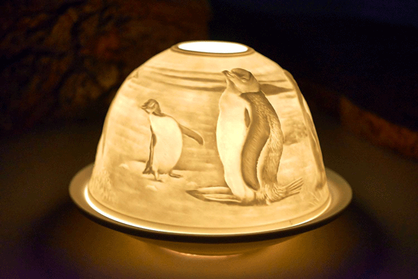 Starlight Nr.138 Pinguine